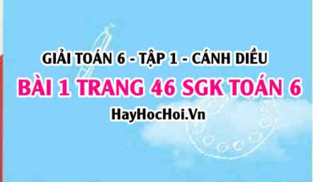 Giải bài 1 trang 46 Toán 6 Tập 1 SGK Cánh Diều